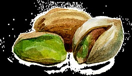 開(kāi)心果卡通透明素材