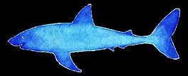 冰藍鯊魚卡通透明素材