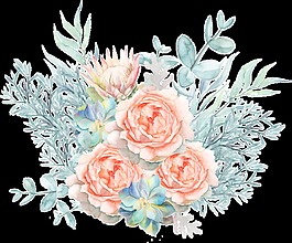 婚禮元素花卉卡通透明素材
