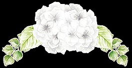 紀(jì)念花叢卡通透明素材