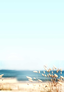 簡(jiǎn)約大海植被背景