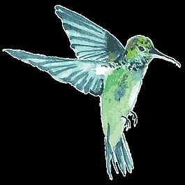 冰藍蜂鳥卡通透明素材