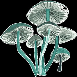 蘑菇叢林卡通透明素材