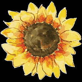 綠色太陽花卡通透明素材