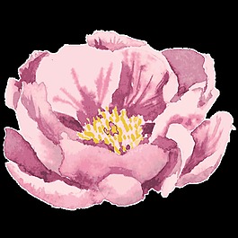 白紫花蕊卡通透明素材