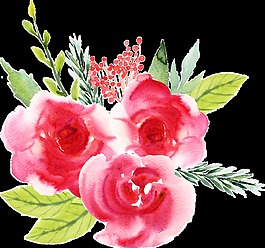 水紅花叢卡通透明素材