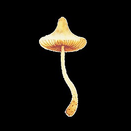 外星蘑菇卡通透明素材