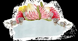 新鮮花池卡通透明素材