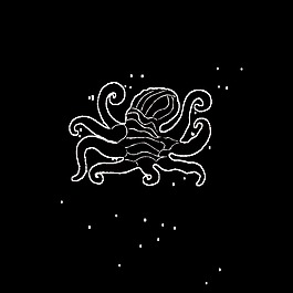 創(chuàng)意黑色烏賊卡通透明素材
