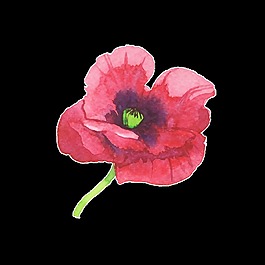 一束鮮花透明素材