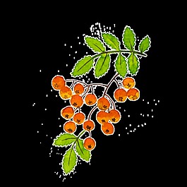 秋季收獲卡通透明素材