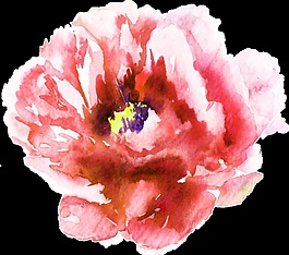 嬌美鮮花卡通透明素材