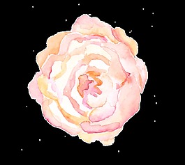 怒放花卉卡通透明素材