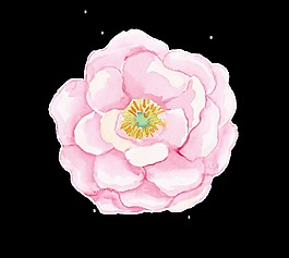 立體粉色花卉卡通透明素材