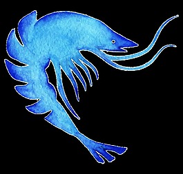 藍(lán)色蝦卡通透明素材