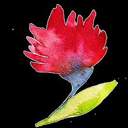 飄香花卉卡通透明素材