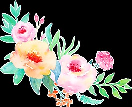 爛漫花卉卡通透明素材