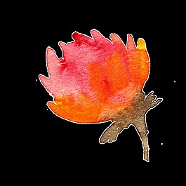 火紅植物卡通透明素材