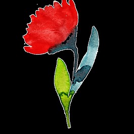 芳香鮮花透明素材