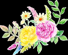 美麗多彩花卉卡通透明素材