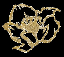 金色花朵卡通透明素材