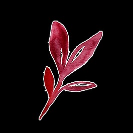 精致樹(shù)葉卡通透明素材