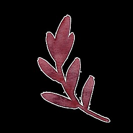 簡(jiǎn)單水彩樹(shù)葉卡通透明素材