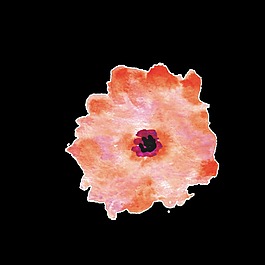 簡(jiǎn)單芬芳花卉卡通透明素材