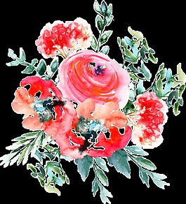 情人節(jié)裝飾花卉卡通透明素材