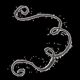 簡約線條卡通透明素材