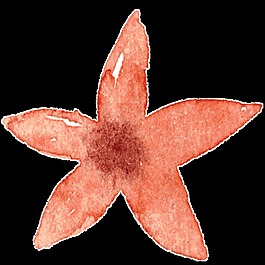 紅色花朵卡通透明素材