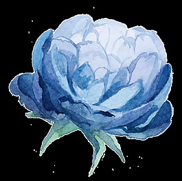 冰藍(lán)花蕊卡通透明素材