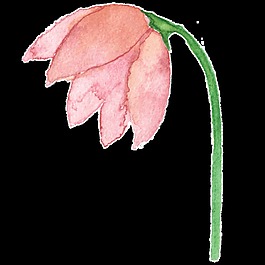 粉嫩花葉卡通透明素材