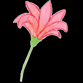 紅邊花葉卡通透明素材