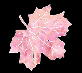 白紋花葉卡通透明素材