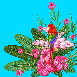 熱帶花朵和鸚鵡插畫(huà)