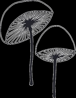 白顶蘑菇卡通透明素材