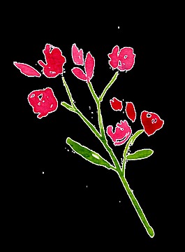 紅顏花葉卡通透明素材