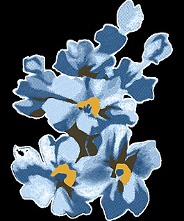 淡黃藍(lán)花卡通透明素材