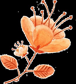 长红花枝卡通透明素材