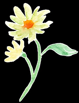 綠黃花葉卡通透明素材