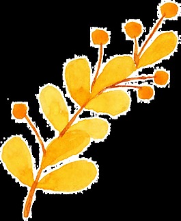 金黃花葉卡通透明素材