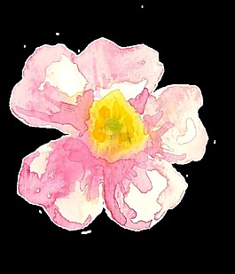 蛋黃花瓣卡通透明素材