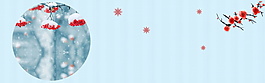 冬季小清新花瓣banner背景
