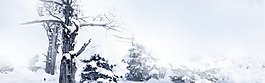 冬季戶外雪景banner背景