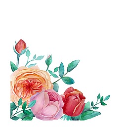 水彩繪清新唯美的花朵插畫