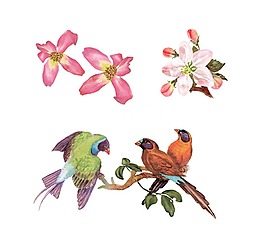 手繪花鳥元素