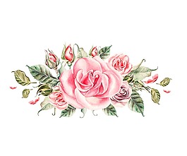 清新粉色牡丹花元素