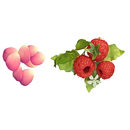 紅色水果元素