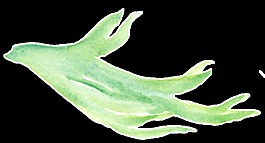 粉彩綠枝卡通透明素材